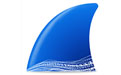 Wireshark v4.2.5 最新版網(wǎng)絡(luò)抓包工具