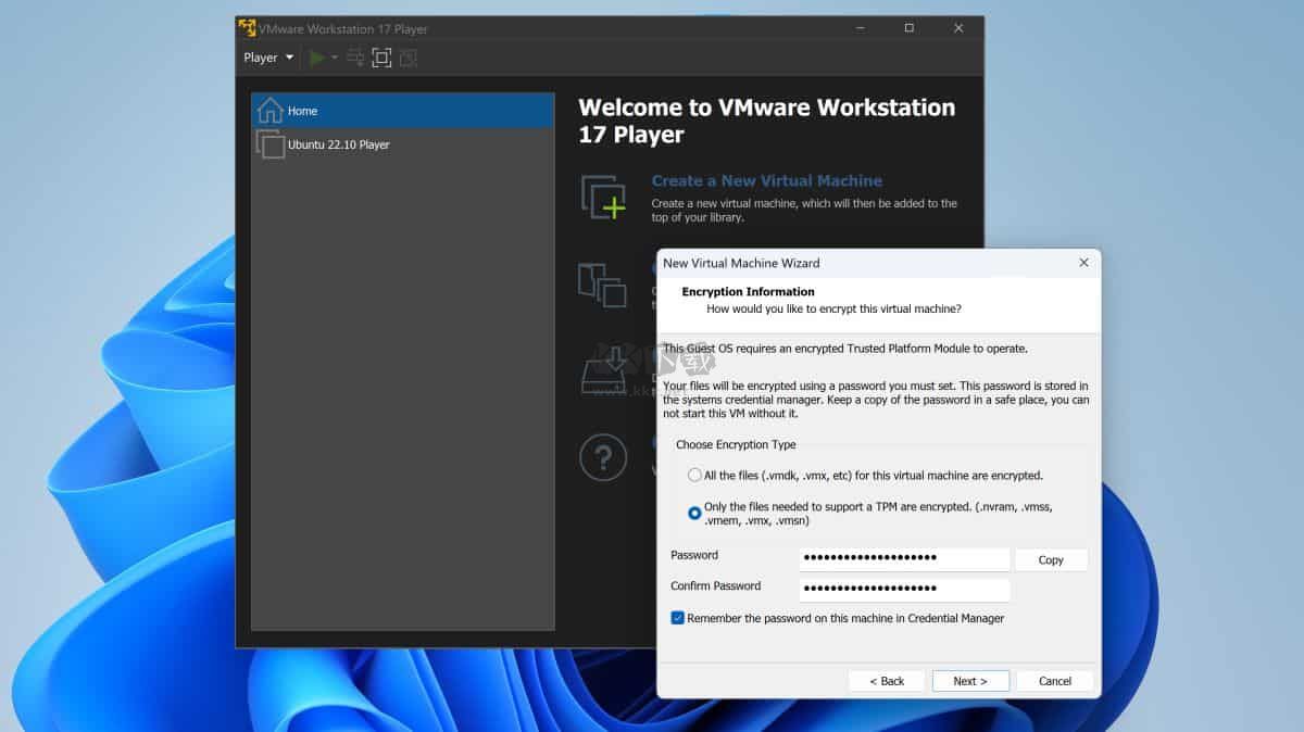 VMware Workstation Pro17虛擬機(jī)