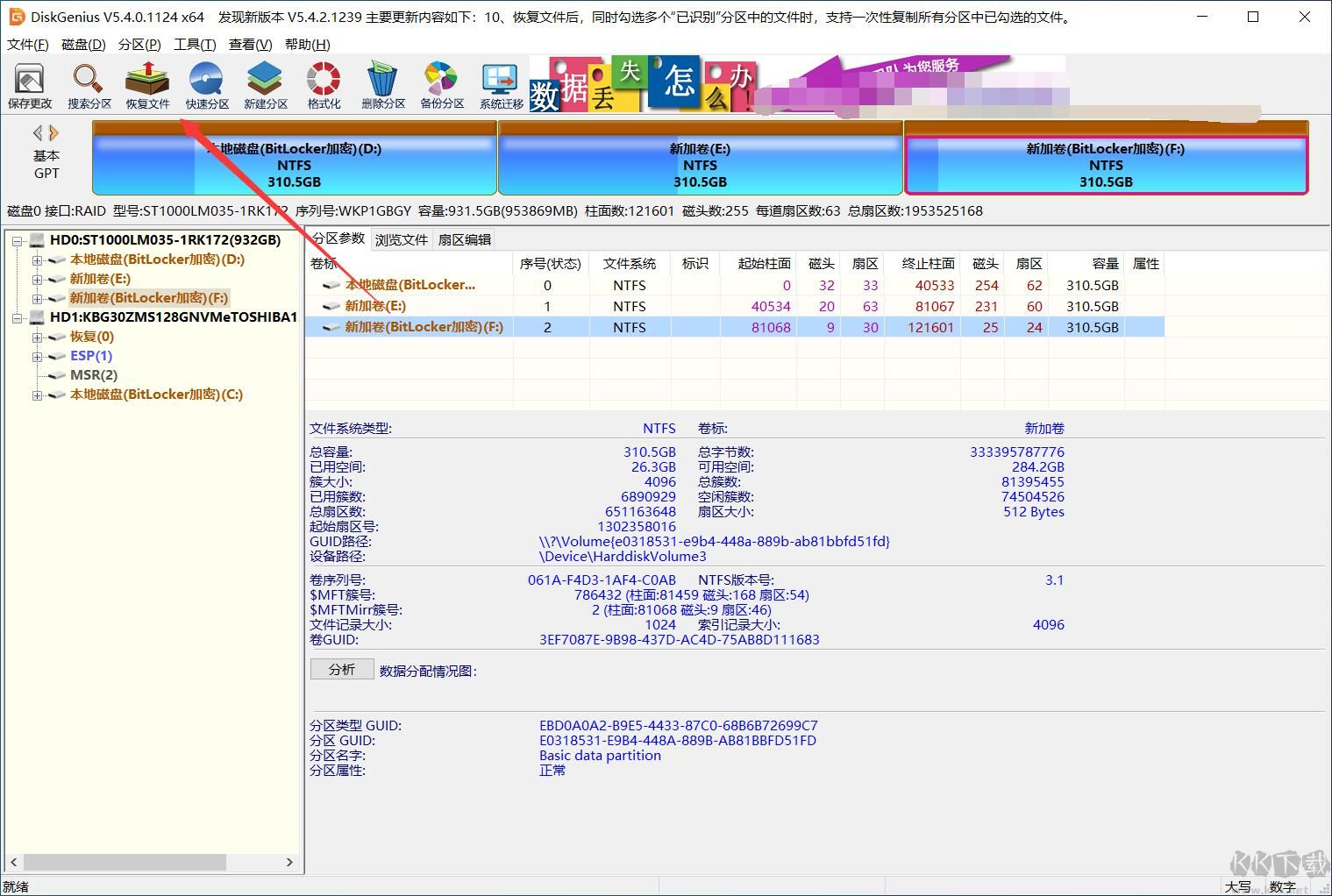 DiskGenius Pro專業(yè)綠色版