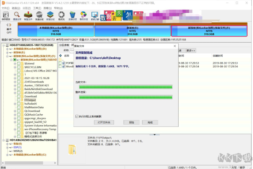DiskGenius Pro v5.4.3.1342 綠色版