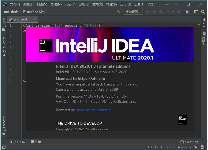 IntelliJ IDEA 2020 官方正式版