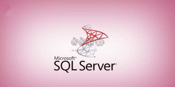 SQL Server 2000 數(shù)據(jù)庫(kù)管理工具 v2000