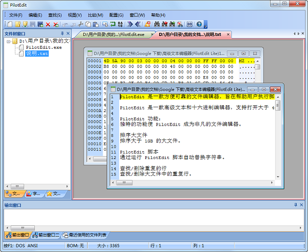 PilotEdit Lite 18.1.0 綠色精簡版