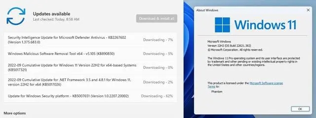 Win11累積更新KB5017321(22621.521) 2022年9月離線補丁