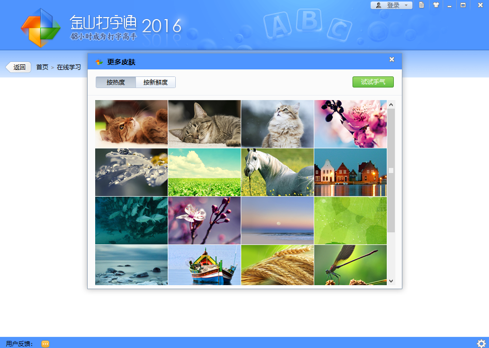 金山打字通2016 PC版 v2.2.0.60