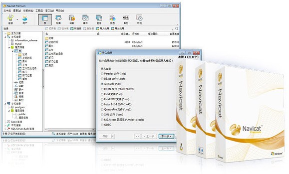 Navicat v15.0.26.3 中文版破解版