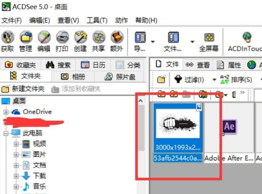 ACDSee截圖