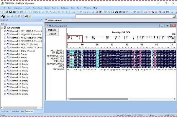 DnaMan v9.4 綠色版破解工具