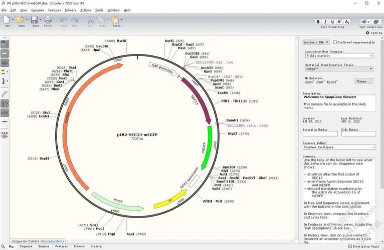 SnapGene 4.24 - 生物分析軟件 v4.24
