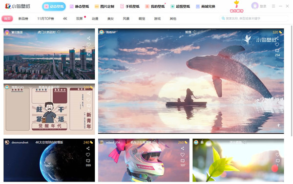 小鳥壁紙電腦版 v3.1123 官方版
