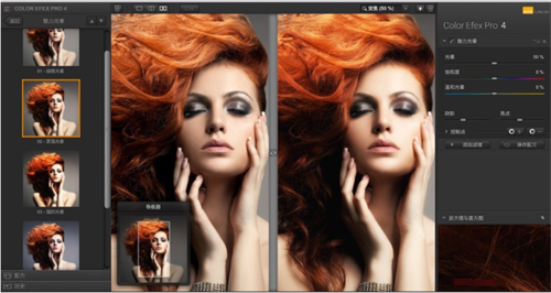 Color Efex Pro v4.1 綠色版破解版