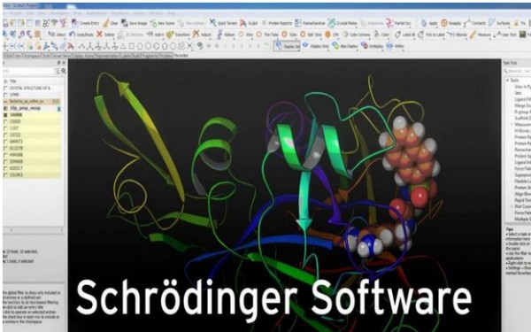 Schrodinger Suites V2021-2 破解版計(jì)算化學(xué)工作站