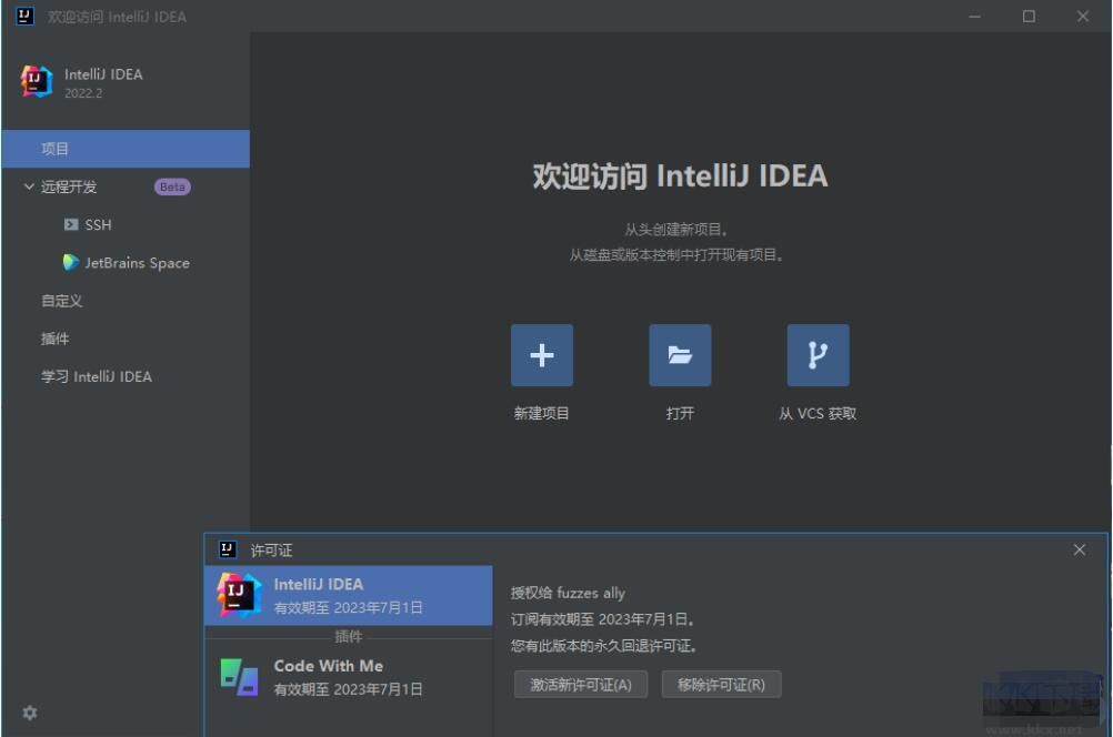 IntelliJ IDEA Ultimate 2022.2.2 永久激活版