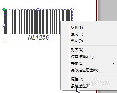 NiceLabel免費版字符怎么調(diào)整