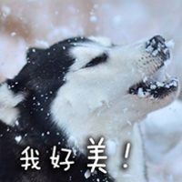 搞笑二哈表情包