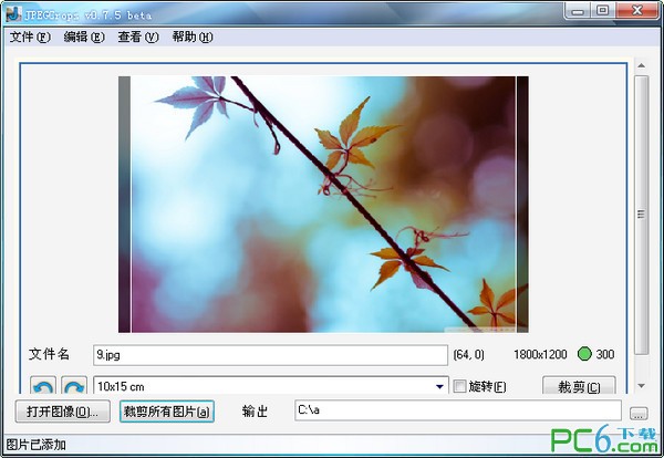 JPEGCrops V2.0 綠色漢化版
