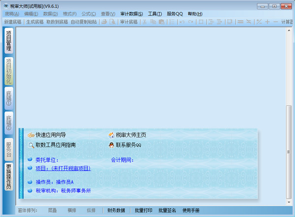 稅審大師 9.6.1 綠色版