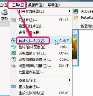 ACDSee免費(fèi)版下載