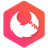 Apifox v2.5.13 中文版