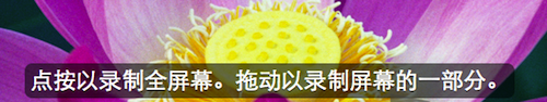 QuickTime中文版下載