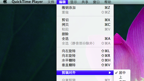 QuickTime中文版下載