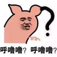 問(wèn)號(hào)表情包?