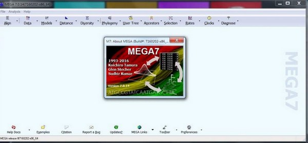 mega破解版下載