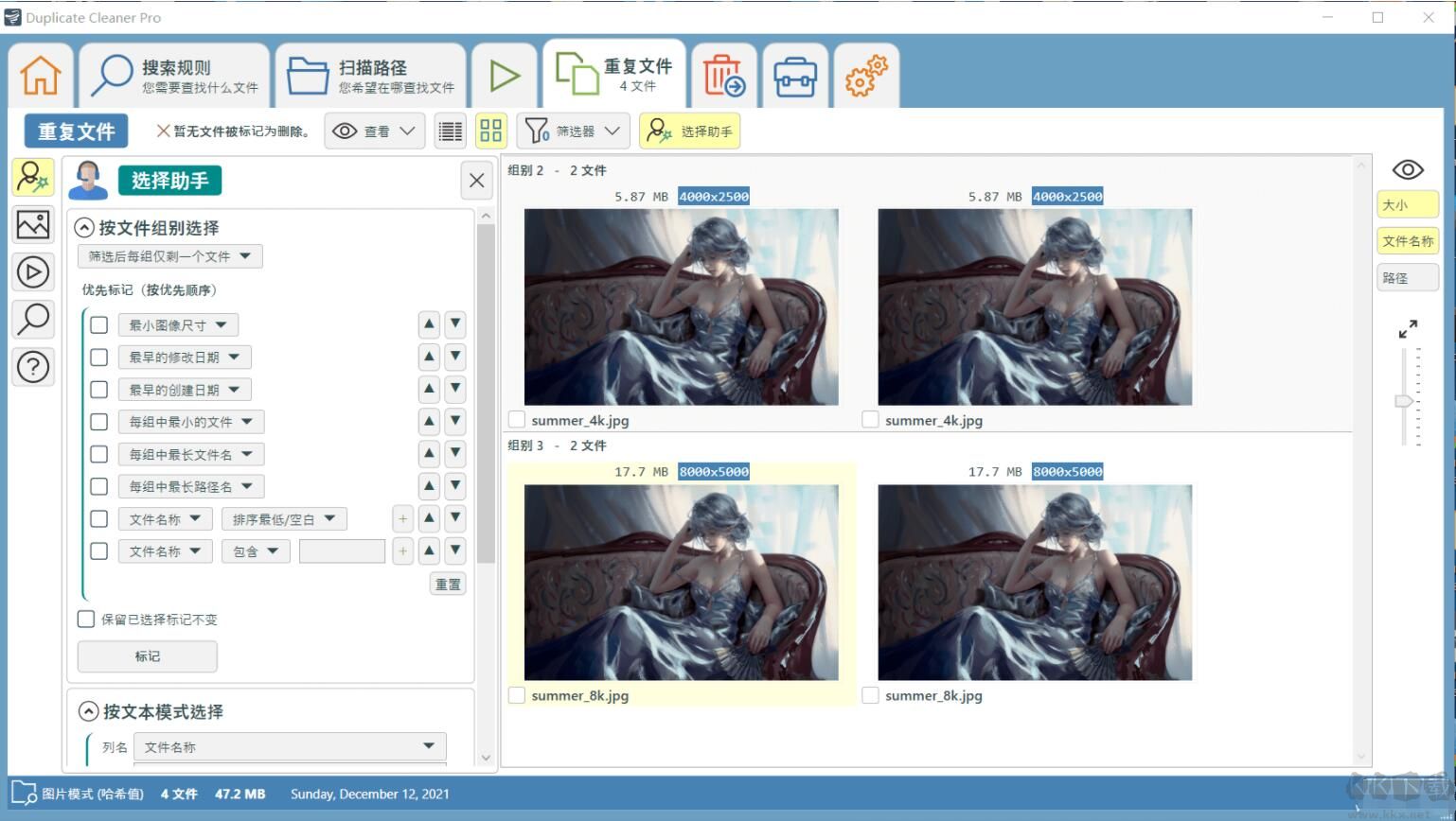 文件查重軟件(Duplicate Cleaner Pro)
