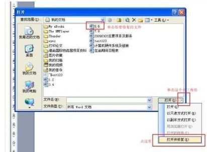 Word文本恢復轉換器 v3.0 綠色版