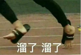 溜了溜了表情包 高清版
