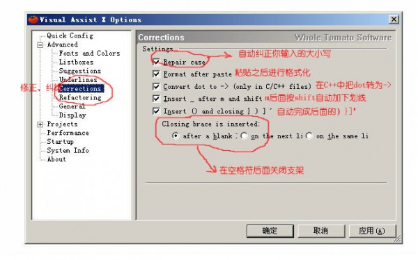 Visual Assist X V10.9.2399 中文破解版