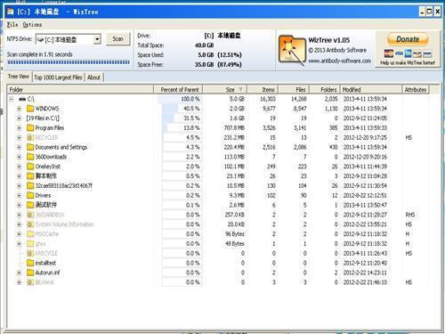 WizTree v3.37.0 免費(fèi)綠色版