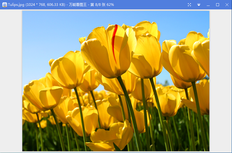 萬(wàn)能看圖王 v1.8.9 官方版