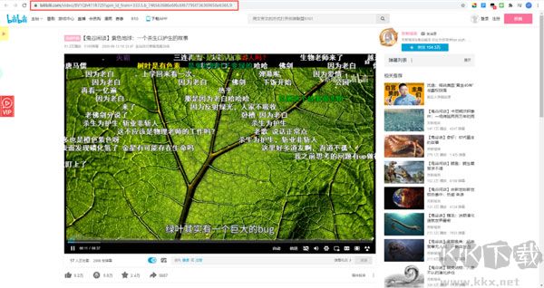 嗶哩下載姬