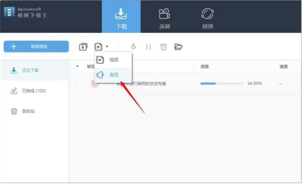 Apowersoft視頻下載王