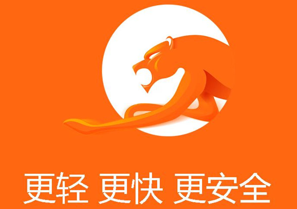獵豹瀏覽器官方下載截圖