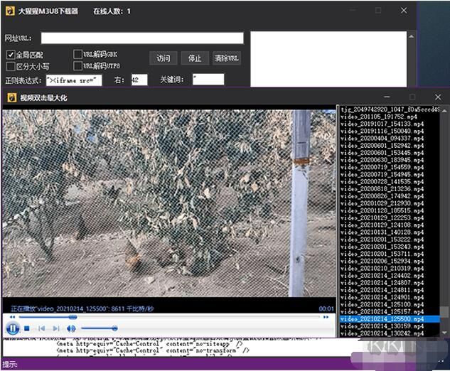 大猩猩M3U8下載器