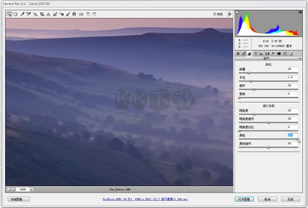 Adobe Camera Raw(RAW處理工具)