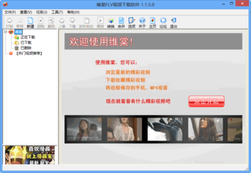 維棠FLV下載器 v3.0.1.0