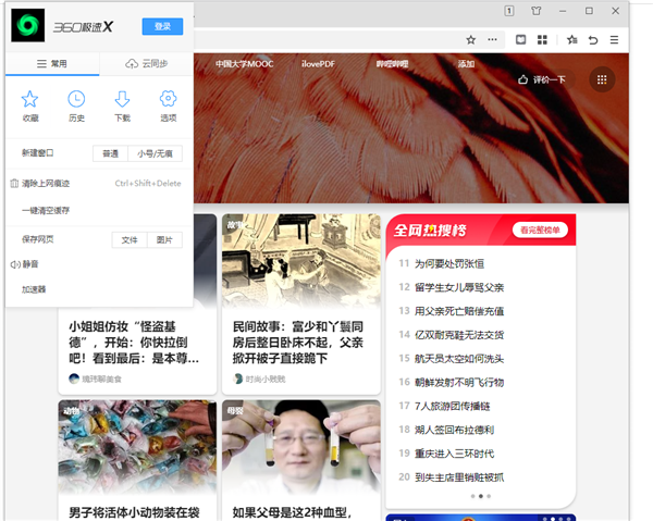 360極速瀏覽器X v21.0綠色版
