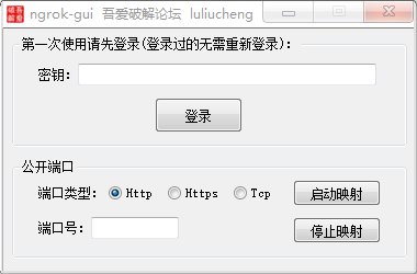 ngrok-gui v1.0 免費版內(nèi)外網(wǎng)穿透工具