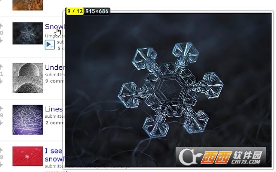 Imagus網(wǎng)頁圖片放大器 v0.9.9.74 綠色版