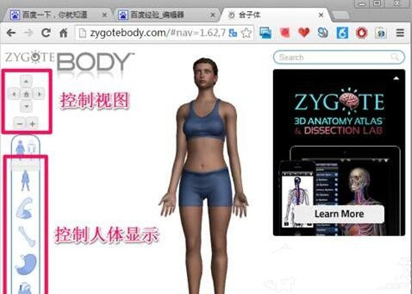 谷歌Google人體瀏覽器中文版 v39.0