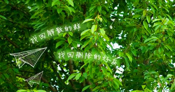 QQ好友恢復(fù)系統(tǒng) 2022版