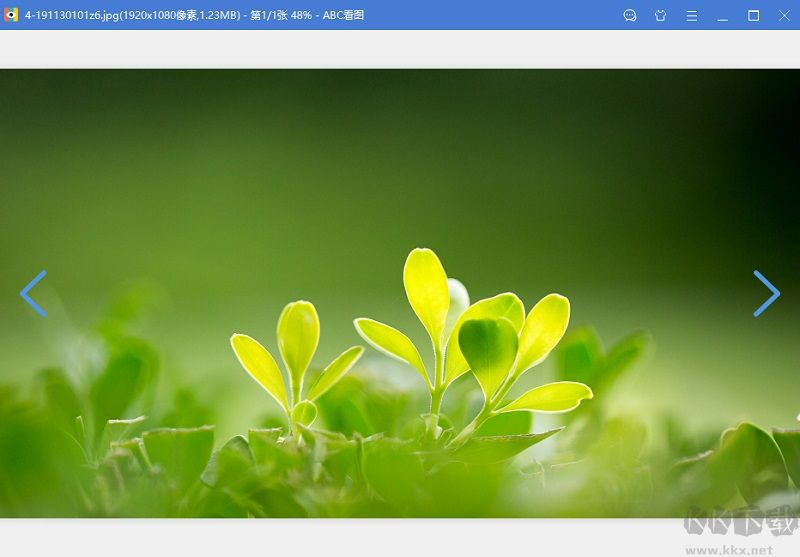 abc看綠色最新