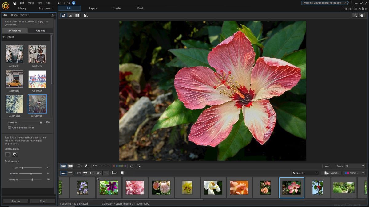 CyberLink PhotoDirector Ultra照片編輯綠色便攜版