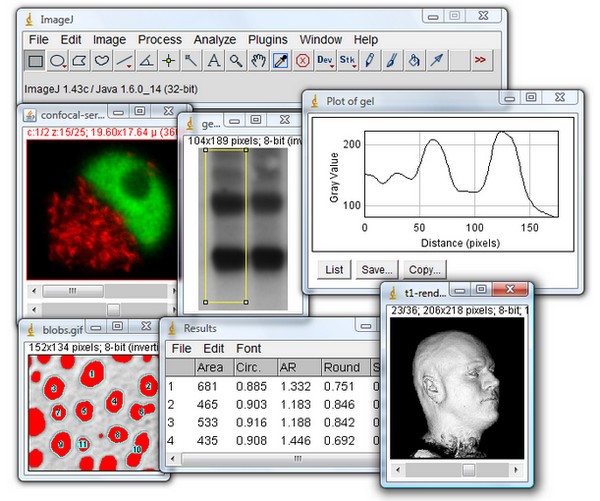 ImageJ v2.6 漢化版