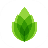 蘆筍錄屏專業(yè)版2023 v2.2.4