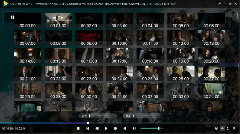 DVDFab Player 6 Ultra v6.2.1.1 永久激活版