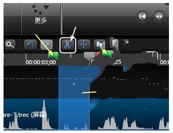 Camtasia Studio 2020中文版